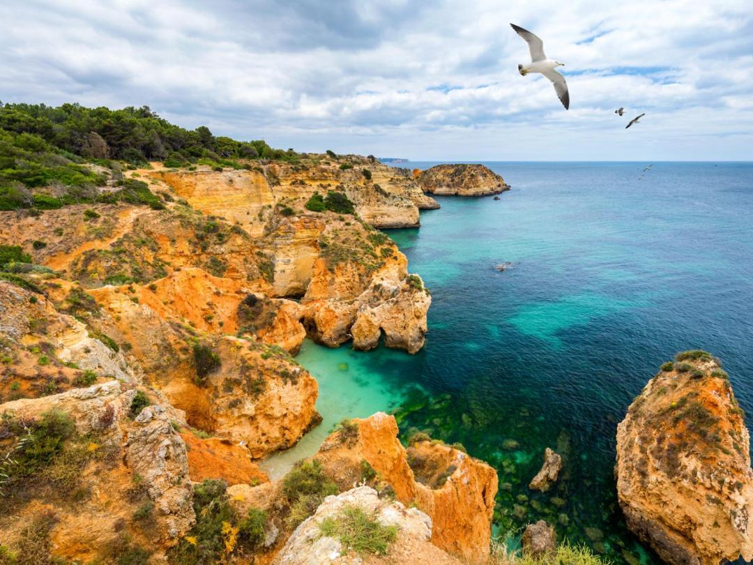 Praia Da Rocha By Ricardo Portimao Ngoại thất bức ảnh